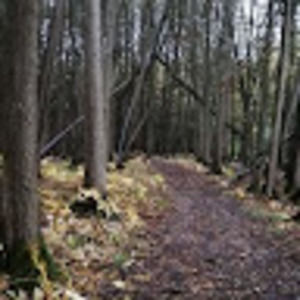 Meet your Posher, Cameron